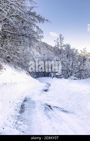 Straße in einem verschneiten Wald in den Bergen in der Lombardei, Italien. Stockfoto