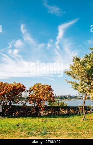 Jamsil Hangang River Park in Seoul, korea Stockfoto