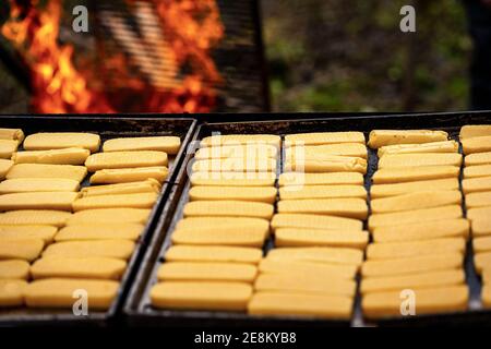 Große Gruppe von gegrillten Polenta-Scheiben, typisch italienische Küche aus Venetien und der Lombardei, mit Maismehl, Wasser und Salz hergestellt. Stockfoto