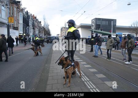 Amsterdam, Niederlande. Januar 2021. Anti-Riot-Polizisten halten Hunde während einer illegalen Demonstration am Museumplein inmitten der Coronavirus-Pandemie am 31. Januar 2021 in Amsterdam, Niederlande.Amsterdams Bürgermeisterin Femke Halsema klassifizierte den Museumplein als "Sicherheitsrisikogebiet", Polizeibeamten das Recht zu geben, jeden in diesem Gebiet zu überprüfen und zu durchsuchen, um illegale Demonstrationen und Vandalismus zu verhindern. (Foto von Paulo Amorim/Sipa USA) Quelle: SIPA USA/Alamy Live News Stockfoto