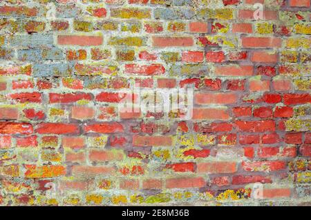 Alte rote Backsteinmauer eines alten Gebäudes mit Flechten Stockfoto