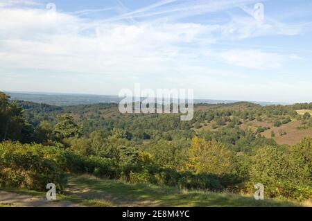 Blick von Hindhead gemeinsam über das Tal bekannt als der Teufel Punchbowl in Surrey. Stockfoto