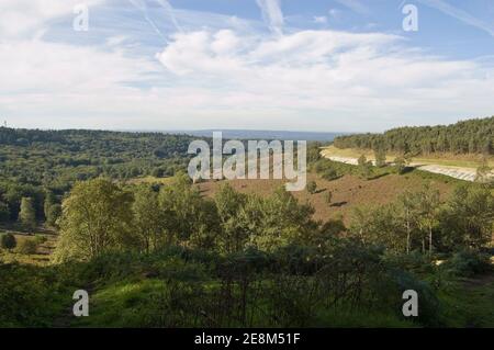 Blick vom Hindhead Common des tiefen Tals bekannt als der Teufel Punchbowl in Surrey. Der Verkehr auf der Hauptstraße A3 wurde nun in einem Tunnel begraben Stockfoto