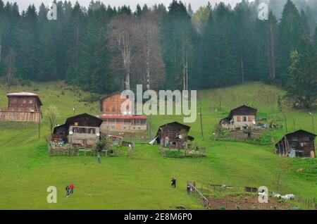 Innenraum der kleinen Hagia Sophia, Trabzon, Türkei Stockfoto