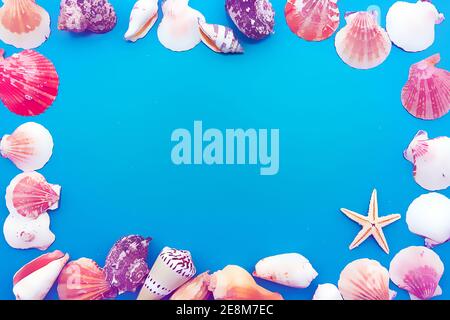 Bunte Muscheln auf blauem Hintergrund. Illustration Malerei Hintergrund Stockfoto