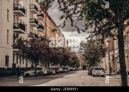 14. Mai, Berlin, Deutschland - Kirschblütenbäume im Berliner Stadtteil Prenzlauer Berg Stockfoto