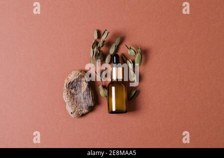 Natürliches Kräuterserum in einer Glasflasche mit Pipette für weibliche Hygiene liegt auf braunem Hintergrund. In der Nähe liegt ein Stück alten Baum und Eukalyptus Stockfoto