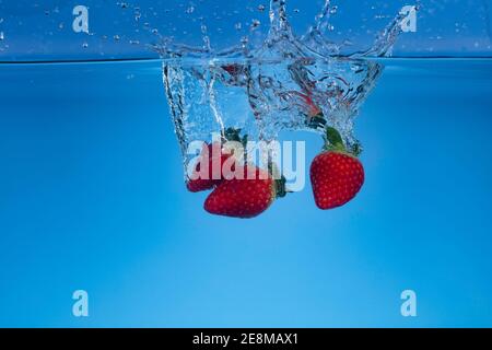 Gefrorenes Motion-Foto von frischen Erdbeeren, die in Wasser gewaschen werden. Stockfoto