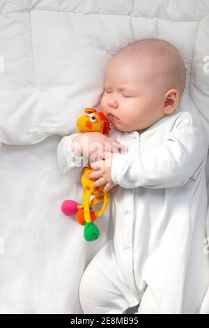 Baby schläft auf weißer Bettwäsche. Niedliche Säugling umarmt ein Giraffe Spielzeug. Stockfoto