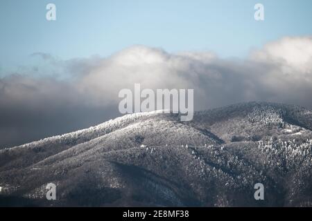 Verschneite Landschaft. Toskana, Italien. Stockfoto