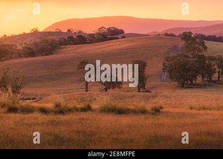 Sanfte Hügel ländliche Landschaft in der Nähe von Rydal im Blue Mountains National Park in NSW, Australien während einer hellen goldenen Sommerabendsonne Stockfoto