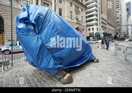 New York, New York, USA. Januar 2021. Charging Bull, manchmal auch als Wall Street Bull oder Bowling Green Bull bezeichnet, wird von einer blauen Plane bedeckt und am 31. Januar 2021 in New York von Polizeibarrieren umgeben. Quelle: Bryan Smith/ZUMA Wire/Alamy Live News Stockfoto