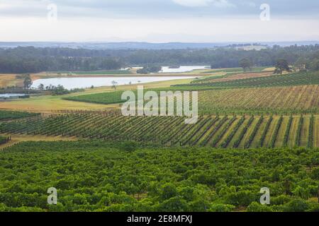 Ländliche Landschaft mit Weinbergen in der Weinregion Hunter Valley in NSW, Australien. Stockfoto