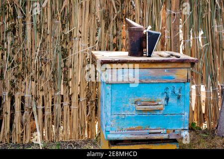 Altmodischer, verwitterter Bienenstock aus blauem Holz mit Bienenhalter-Werkzeugen Im rustikalen Hintergrund Stockfoto