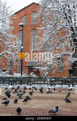 Sofia Bulgarien im Winter Schnee Tauben außerhalb des 4. Jahrhunderts St. Sophia oder St. Sofia Ost-orthodoxen Kirche und Basilika Osteuropa EU Stockfoto