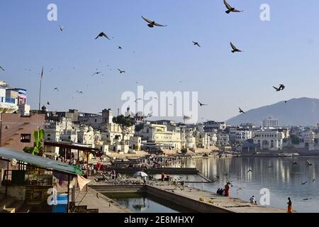 Pushkar, Rajasthan, Indien - Dezember 2016: Schar von fliegenden Vögeln über den See in (heiligen See im hinduismus). Pilger, die religiöse Gebetswaschung in der m Stockfoto