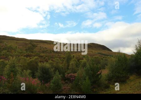 Heide in den Glens von Schottland Stockfoto