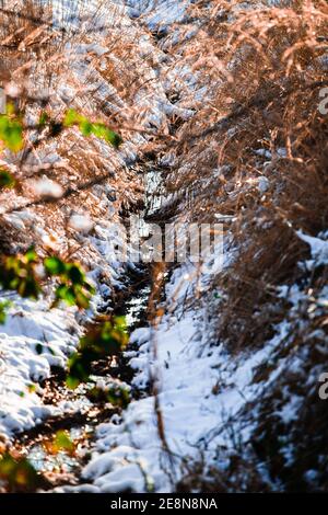 Der kleine Fluss ist im Winter ausgetrocknet Stockfoto