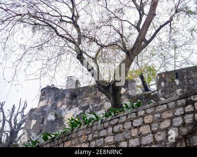 Außenansicht des alten Monte Fort in Macau, China Stockfoto