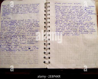 Tagebuch von Tanja Nijmeijer, 29, die sich 2002 unter dem selbsterklärten Rebellennamen "Eillen" den Revolutionären Streitkräften Kolumbiens, der FARC, anschloss. Ihr handgeschriebenes Tagebuch wurde kürzlich von der kolumbianischen Armee bei einem Überfall auf ein Guerilla-Lager gefangen genommen. Dieses Foto wurde von der kolumbianischen Armee zur Verfügung gestellt und in einem Computer der FARC gefunden. Foto von ABACAPRESS.COM Stockfoto