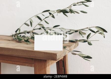 Blank weiße Visitenkarte Mockup und Olivenbaum Zweig auf alten Holzbank, Tisch Hintergrund. Elegante moderne Vorlage für Branding-Identität Stockfoto