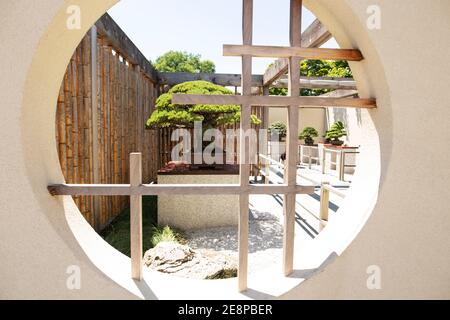 Blick durch ein Fenster auf einen jahrhundertealten japanischen Bonsai-Baum aus Hiroshima, ausgestellt im National Arboretum in Washington, DC, USA. Stockfoto