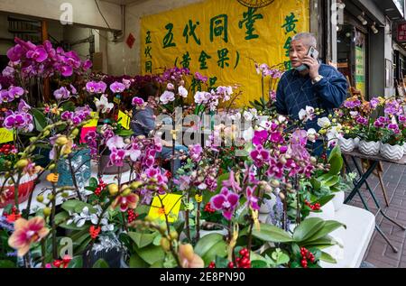 Ein Verkäufer spricht auf einem Handy, wie er an seinem Blumenstand steht und bietet typische chinesische Neujahrsthema Blumen wie Orchideen während der Vorbereitungen für die bevorstehende chinesische Mondneujahr Ox Feiertage. Stockfoto