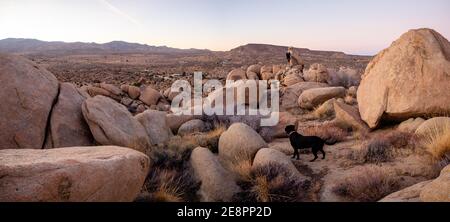 Schwarzer Hund und Mann in der Ferne Klettern zwischen Feld von Felsbrocken in der Dämmerung mit Sonnenuntergang Himmel Yucca Valley, Kalifornien in der Nähe Joshua Tree National Park auf Stockfoto