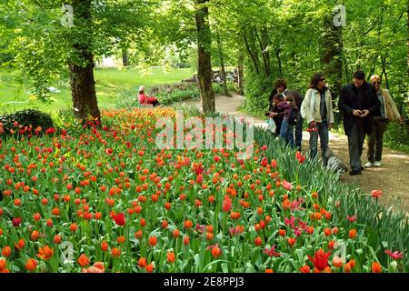 Pralormo, Piemont, Italien. -04-25-2009-Messer Tulipano Gartenbau Ausstellung mit Frühling Tulpen blühen in Pralormo Schloss. Stockfoto