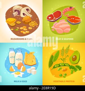 Protein Rich Food Konzept 4 flache Symbole quadratische Banner mit Milchprodukte treffen auf Geflügel abstrakt isoliert Vektor-Illustration Stock Vektor