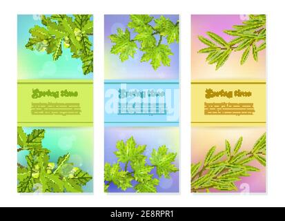 Helle bunte Frühling Kollektion von vertikalen Bannern mit Oliveneiche Und Ahornzweige bei Sonnenblendung Hintergrund flache Vektor-Illustration Stock Vektor