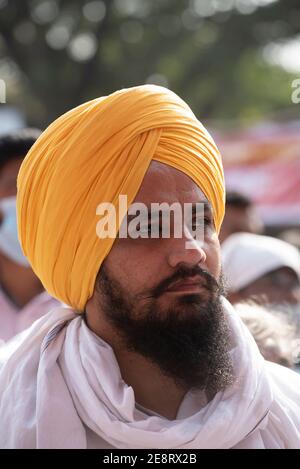 Mumbai , Indien - 25. Januar 2021, Portrait eines indischen Sikh Mann mit gelben Turban beim Denken in einer Kundgebung auf dem Azad Maidan gegen die Stockfoto