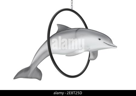 Tursiops truncatus Ozean oder Meer Bottlenose Delphin Sprung durch Ring auf weißem Hintergrund. 3D Rendering Stockfoto