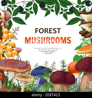 Wald Hintergrund mit dekorativen Rahmen mit wilden Pilze Feld Blumen Und Zweig von Busch mit Brombeeren Cartoon-Vektor-Illustration Stock Vektor