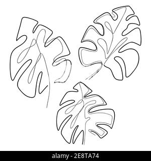 Konturdarstellung von Monstera-Blättern. Tropische Flora. Monoline Bild. Vektor trendy kontinuierliche Linie Laub von verschiedenen Formen. Natürliche sti Stock Vektor