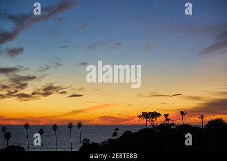 Südkalifornien Ozean Sonnenuntergang Silhouette mit Palmen Stockfoto