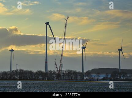 Libbenichen, Deutschland. Januar 2021. Zwischen den vorhandenen Windenergieanlagen wird eine neue Windenergieanlage errichtet. Quelle: Patrick Pleul/dpa-Zentralbild/ZB/dpa/Alamy Live News Stockfoto