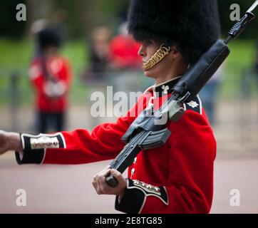 Britische zeremonielle Wachmänner mit roten Tuniken und Bärenfell-Hüten, die während der jährlichen Trooping of the Colour Ceremony zum Geburtstag der Königin vorführen. Stockfoto