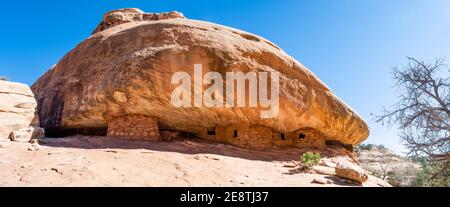 House on Fire Kornkammer Ruine in Mule Canyon, Cedar Mesa. In Bears Ears National Monument in der Nähe von Monticello und Blanding Utah und Cedar Mesa Reservation Stockfoto