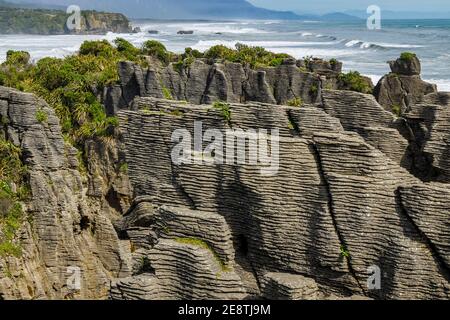 Pancake Rocks in Punakaiki, Südinsel, Neuseeland. Der stark erodierte Kalkstein bildet die geschichteten Felsformationen und Blaslöcher. Stockfoto