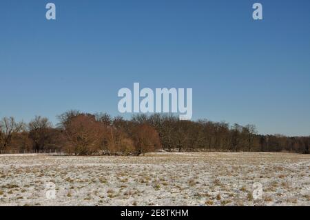 Das Ende des Januars 2021 bescherte uns eine märchenhafte Winterwanderung Durch das Landschaftsschutzgebiet des Erpetals am Rande von Berlin bei Walde Stockfoto