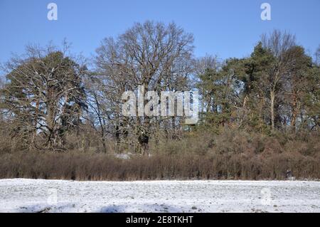 Das Ende des Januars 2021 bescherte uns eine märchenhafte Winterwanderung Durch das Landschaftsschutzgebiet des Erpetals am Rande von Berlin bei Walde Stockfoto