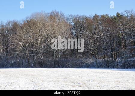 Das Ende des Januars 2021 bescherte uns eine märchenhafte Winterwanderung Durch das Landschaftsschutzgebiet des Erpetals am Rande von Berlin bei Walde Stockfoto