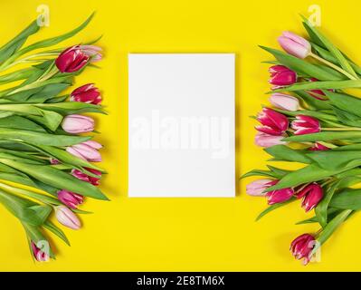 Osterrahmen aus rosa und roten Tulpen auf gelbem Hintergrund. Grußkarte. Stockfoto