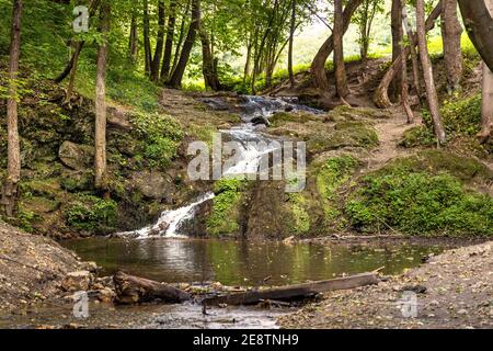 Wasserfall Szum am Bentkowka Creek im Bedkowska Valley im Jura Krakowsko-Czestochowska Upland bei Krakau in Kleinpolen Stockfoto