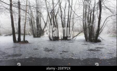 Gefrorener Baum in der Winterlandschaft Stockfoto