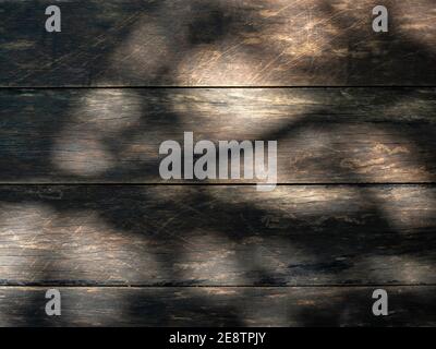 Holzstruktur Hintergrund. Licht und Schatten von Baumblättern auf braunem Holzbrett. Stockfoto