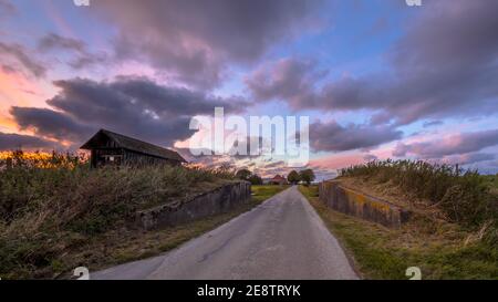 Straßendurchfahrt durch Deich bei Sonnenuntergang unter wunderschönem wolkenfreiem Himmel. Usert, Groningen, Niederlande Stockfoto