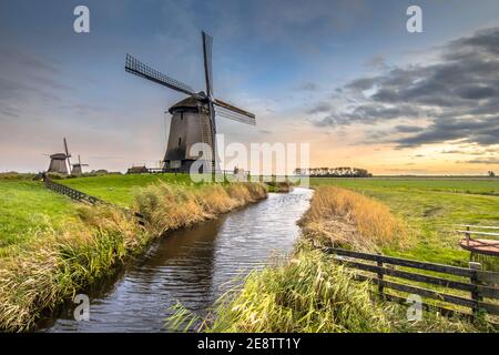 Drei traditionelle Holzwindmühlen entlang des Kanals in alter landwirtschaftlicher Landschaft bei Schermerhorn, Nordholland. Niederlande Stockfoto