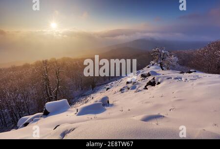 Berglandcape in der Winterzeit mit Wald Stockfoto